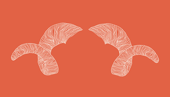 Digital Illustration