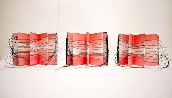 Accordian artist book
