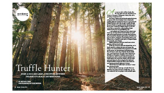 Magazine Spread