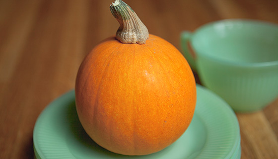 Autumn Still Life