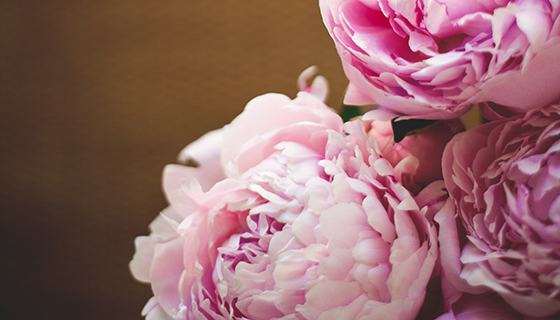 Peonies.