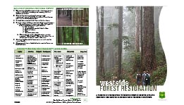 Tabloid Pamphlet