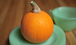 Autumn Still Life