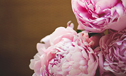 Peonies